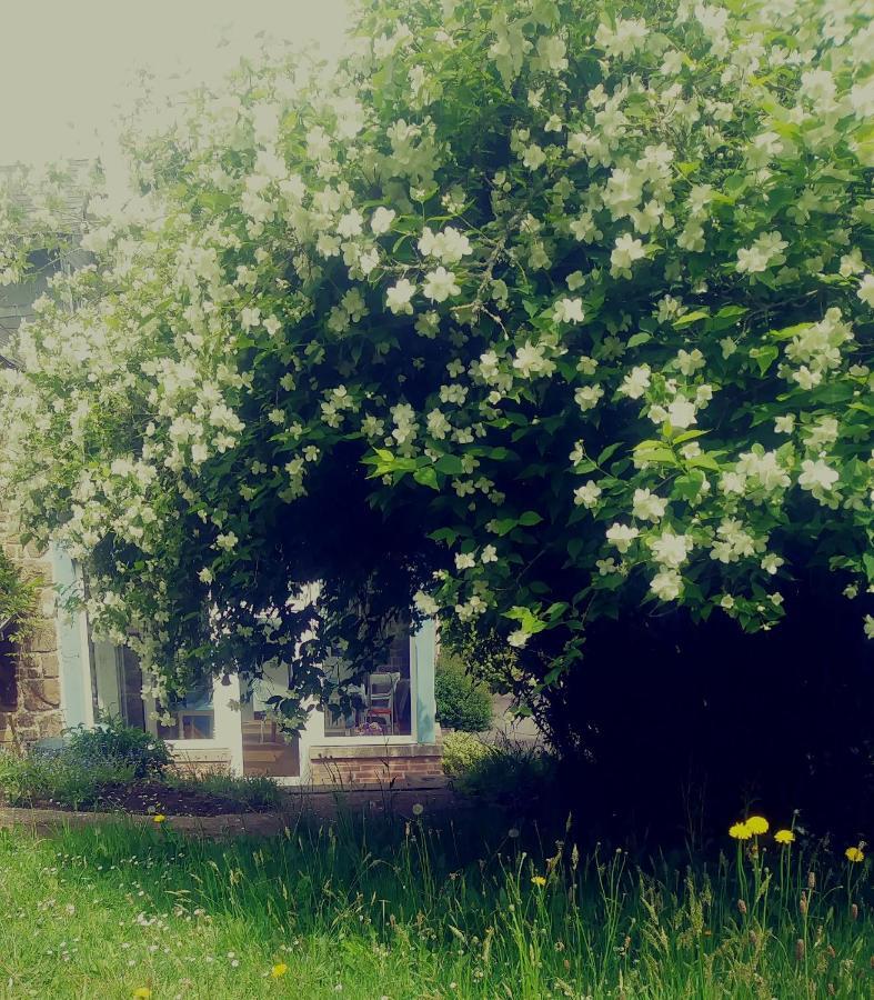 Maison Du Tertre Lonlay-l'Abbaye Zewnętrze zdjęcie